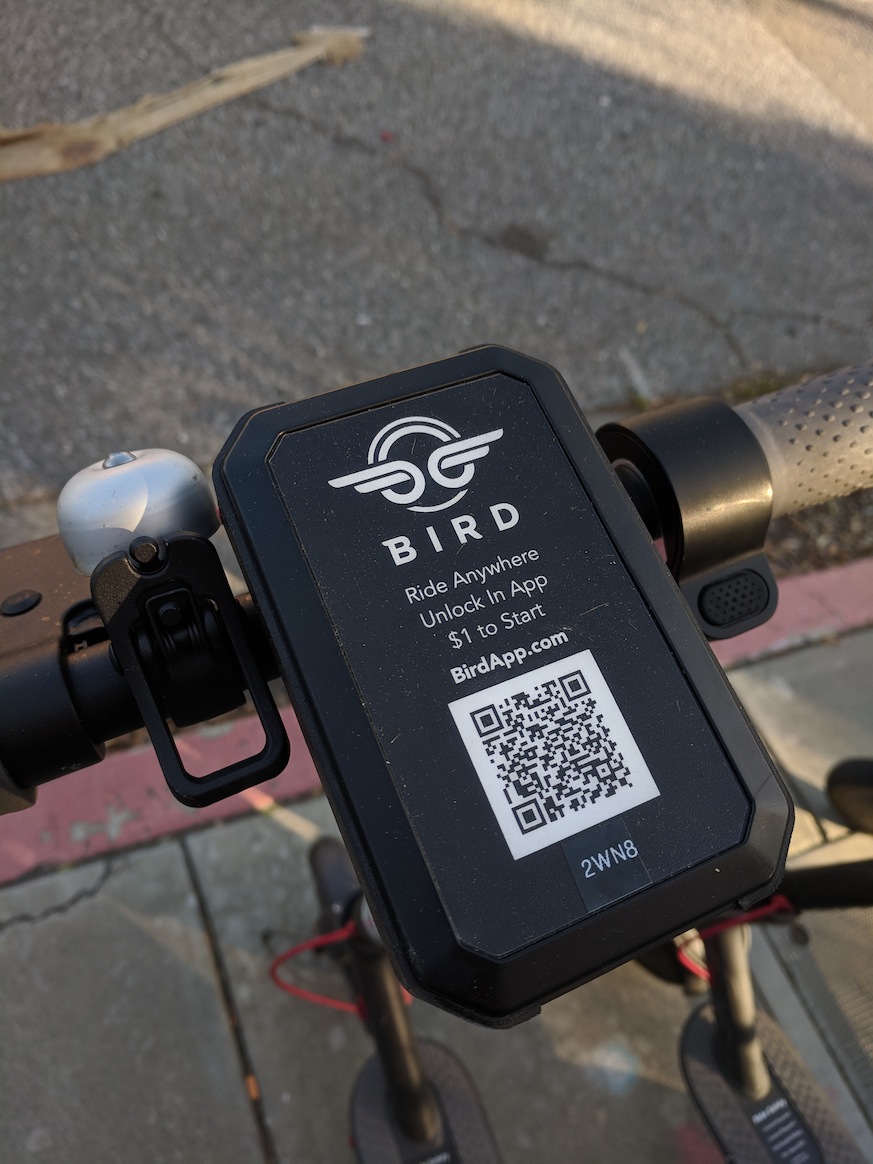 bird scooters | bird scooters cambridge 