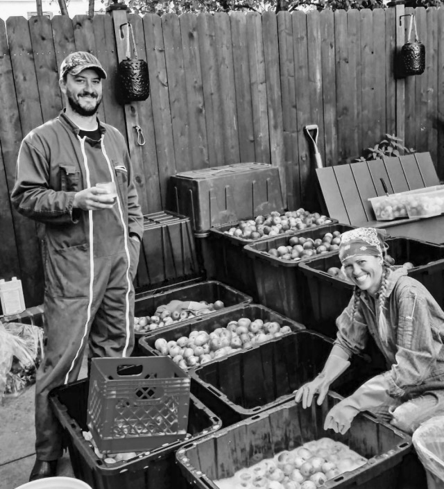 Jeremy Hammond and Joy Doumis working on the cider in their backyard.