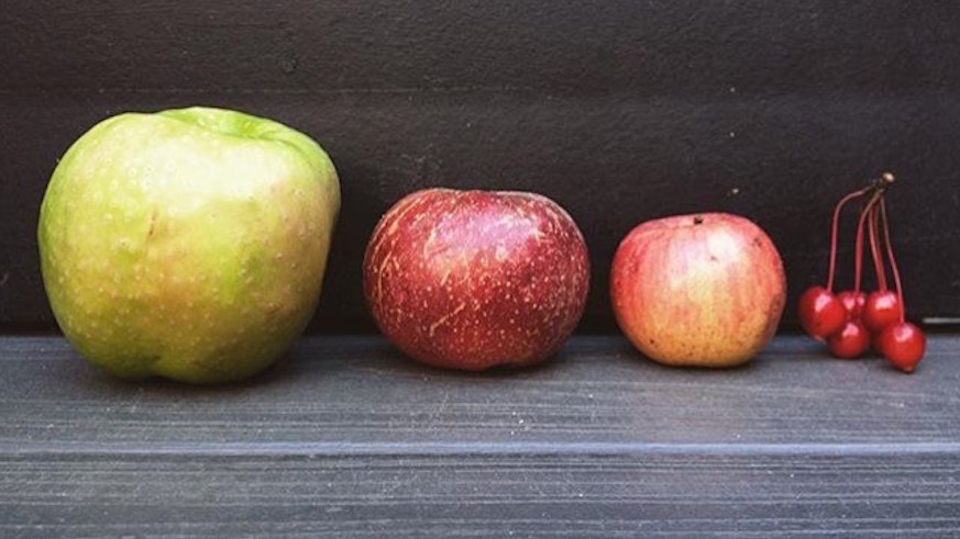 The apples of Green-Wood: Granny Smith, Baldwin, unknown Morse variety, crabapples