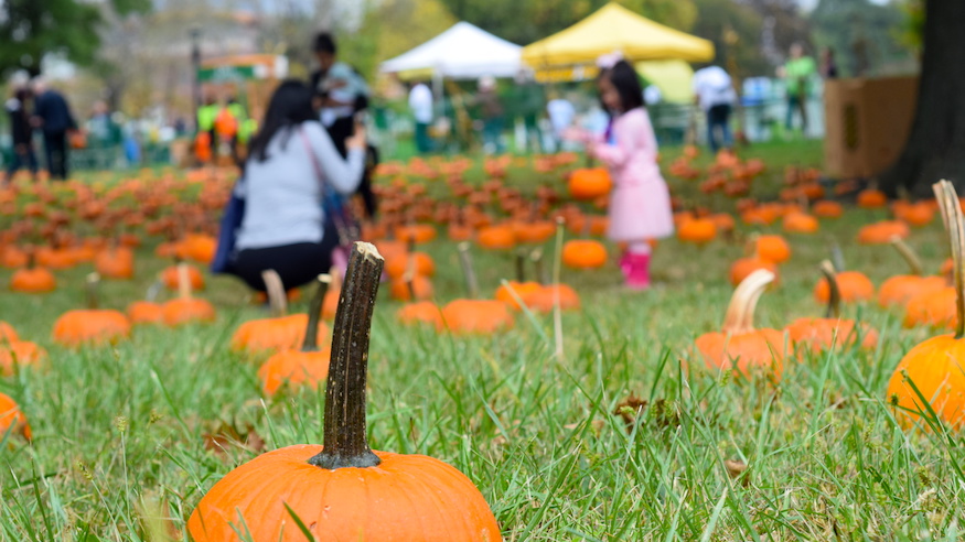 things to do halloween events for kids in nyc family friendly 2018