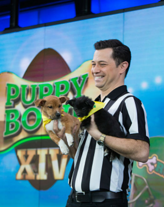 Puppy Bowl 2018