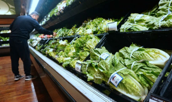 Romaine lettuce recall