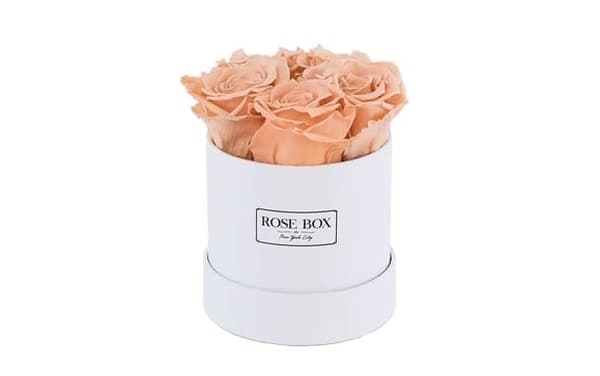 Rose Box Mini White Box With Peach Roses