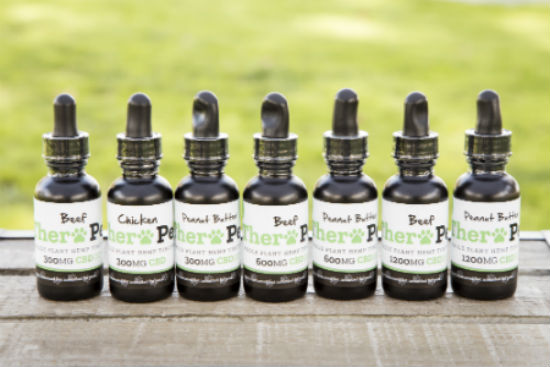 CBD for dogs