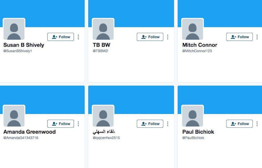 Trump Twitter Followers Bots