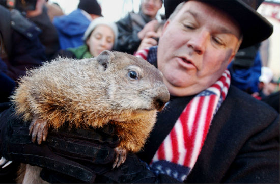 What happens if the groundhog sees his shadow punxsutawney phil