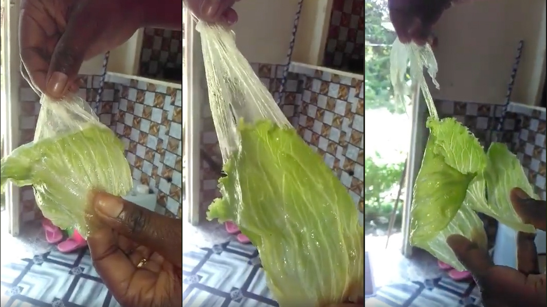 romaine lettuce skin layer peeling