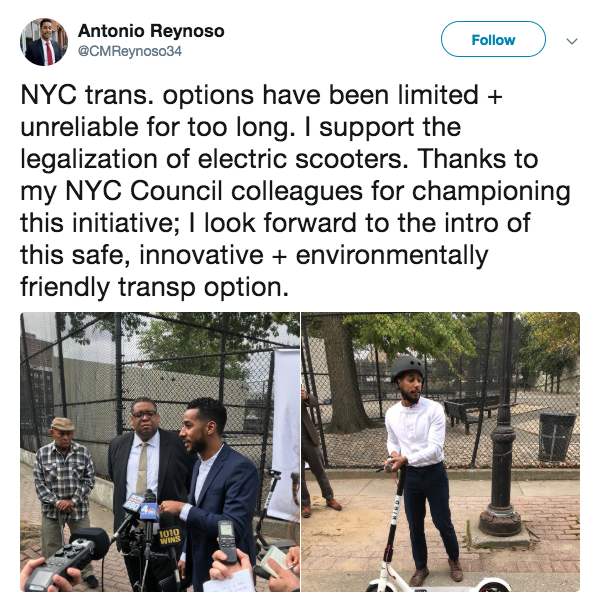 electric scooters | bird nyc | transalt